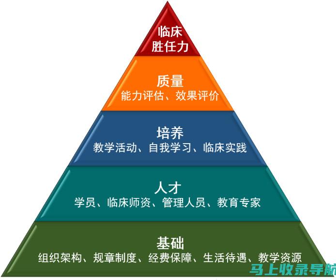 医生模式：现代医学体系中的诊疗路径探索