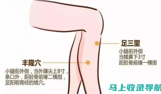 全方位解析艾医生艾灸枕头：功能、效果及使用方法