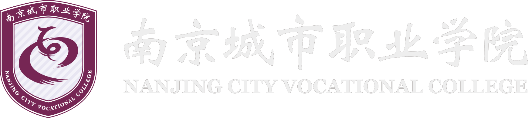 南京城市职业学院 数字财商学院