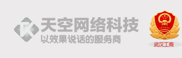 宜昌专业淘宝代运营 天猫代运营 网店装修 直通车托管 客服外包 京东代运营-天空网络科技有限公司