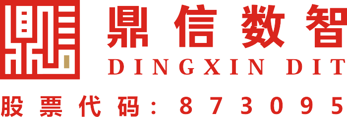 鼎信数智技术集团股份有限公司—数智化转型与全过程咨询