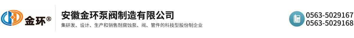 安徽金环泵阀制造有限公司