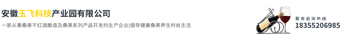 安徽玉飞科技产业园有限公司