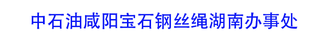 咸阳宝石钢丝绳|咸阳钢丝绳厂家|石油绳|旋挖绳|吊车绳|石油录井钢丝|电铲绳|海工钢丝绳|湖南钢丝绳|长沙钢丝绳|中石油咸阳宝石钢丝绳湖南办事处