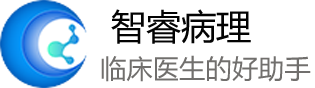 广州智睿医疗科技有限公司