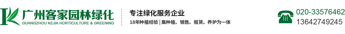 广州花木出租_广州植物出租_广州花木租摆_广州花草出租_广州室内绿植盆栽出租_广州绿植租摆_广州植物租摆_广州绿植租赁_广州客家园艺