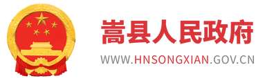 首页 嵩县人民政府