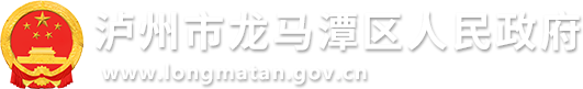 泸州市龙马潭区人民政府