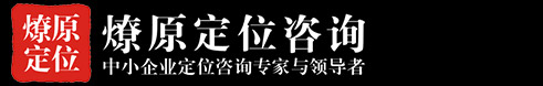 武汉品牌营销策划推广|武汉战略定位咨询|武汉燎原圣火营销咨询公司