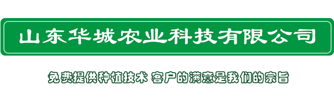 苹果树苗价格-矮化苹果树苗-苹果苗新品种-苹果苗价格 - 华城苗木基地