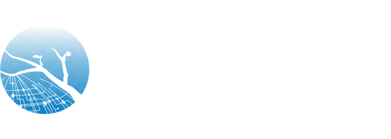 seo计费管理系统-网站程序二次开发-系统定制开发 - 树枝科技