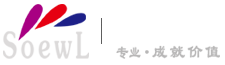 聊城网络公司-索易网络公司_聊城网站建设-网站制作-网站设计-网站优化-网络推广