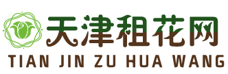 天津租花网,天津租摆,天津租绿植,天津绿植租摆|出租|租赁,天津植物租摆|租赁,天津花卉租摆|租赁,写字楼|办公室|室内绿植出租|租摆|租赁,津城租花租摆官网4000700278