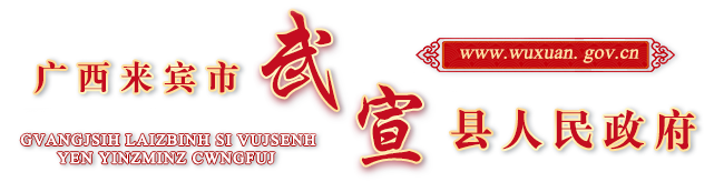 广西来宾市武宣县人民政府门户网站