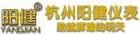 水质检测仪器-在线监测多参数分析仪-在线监控pH计_杭州阳健仪表公司