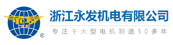 永磁潜水电动机生产厂家-提供高压永磁同步电动机,永磁同步电机产品定制与批发-浙江永发机电有限公司