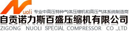 自贡诺力斯百盛压缩机有限公司专业设计、制造和销售各类特种气体压缩机的高新企业