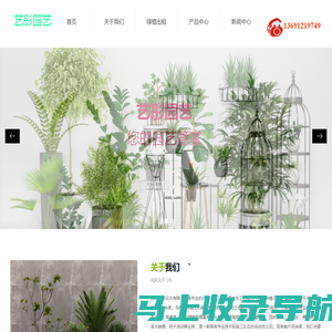 北京绿植出租_大型_绿植出租_办公室绿植出租_天津植物租摆-北京艺彤花卉有限公司