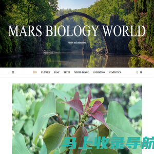 Mars Biology World – Photos and animations