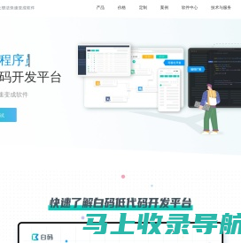 「白码低代码官网」企业级低代码开发平台【可私有化部署】