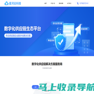 星河云科技/供应链管理系统
