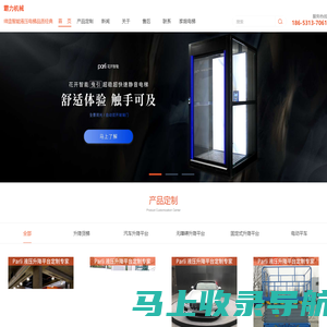 升降机-升降平台-别墅电梯诚信定制「济南霸力」