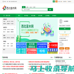 西北苗木网--苗木求购|绿化苗木价格|陕西苗木