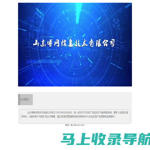 山东博网信息技术有限公司